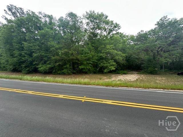 0 Old Louisville Road - Photo 1