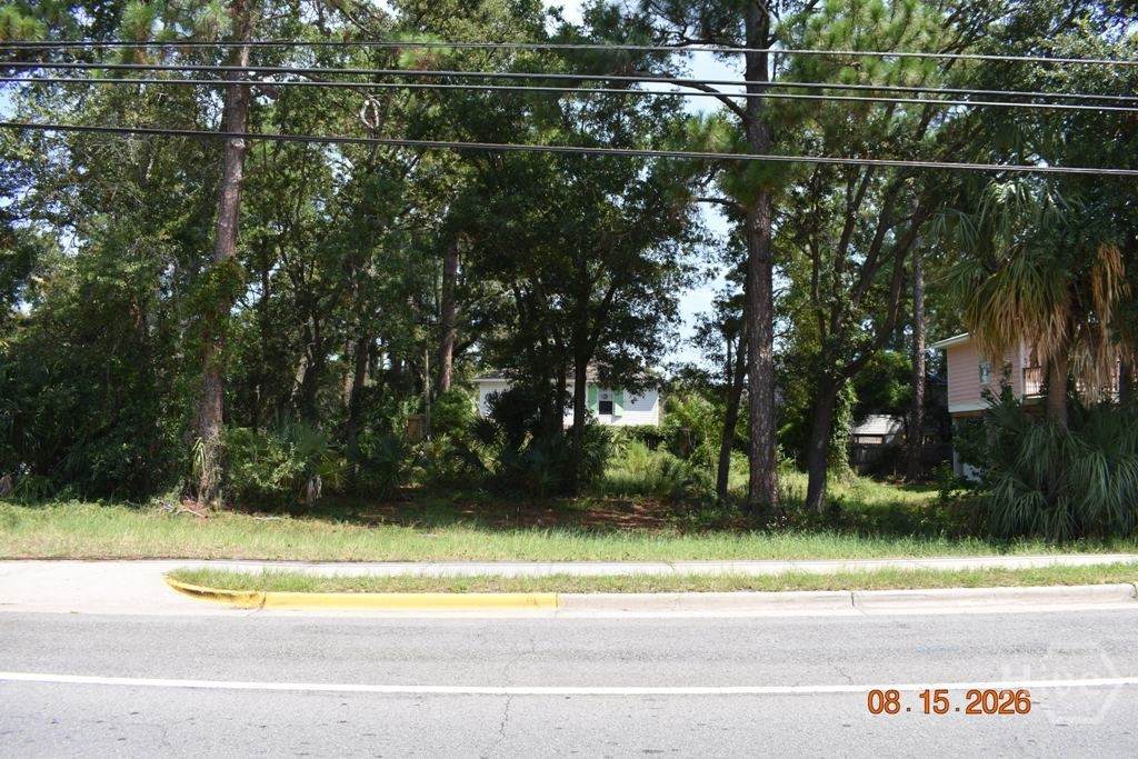 1017 Us Highway 80 - Photo 1