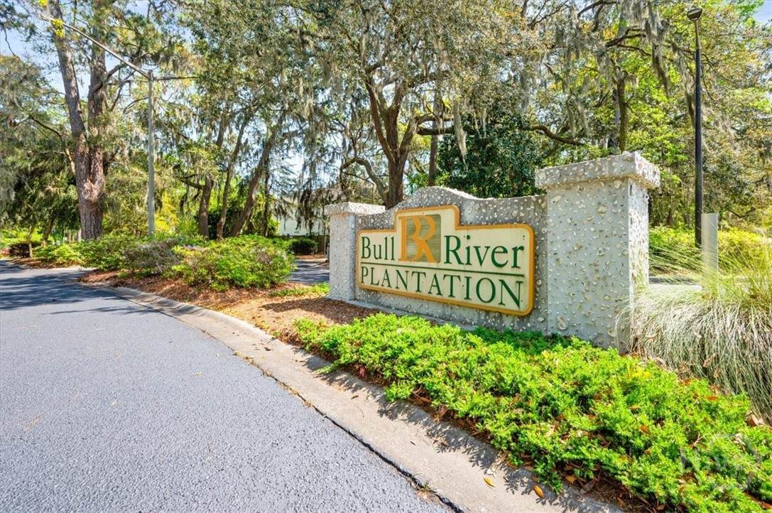 226 Bull River Bluff Drive - Photo 1