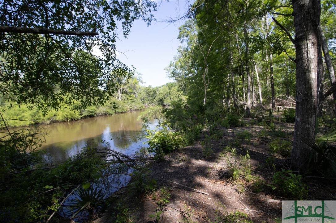 Lot 22 The River Landing Road - Photo 1