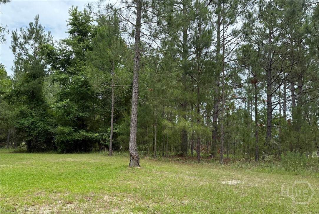 Lot 6 Centerbrook Road - Photo 1