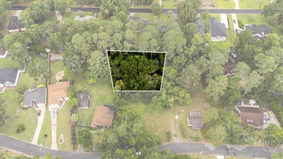 0 Coffee Bluff Villa Road - Photo 1