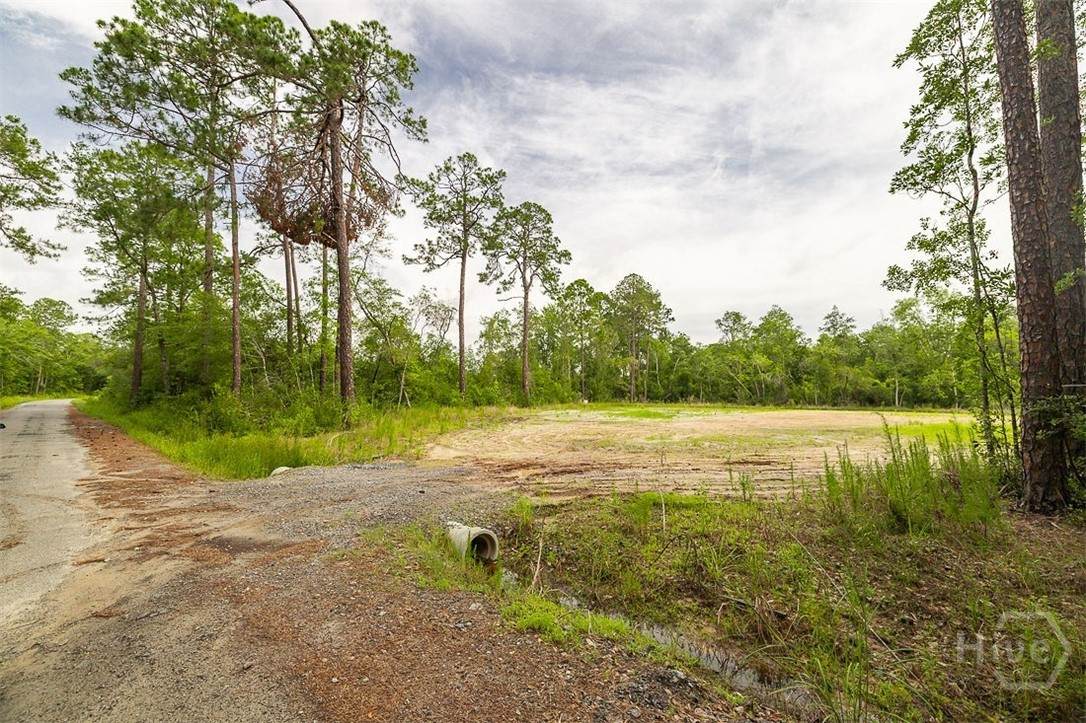 0 Zettler Road - Photo 1