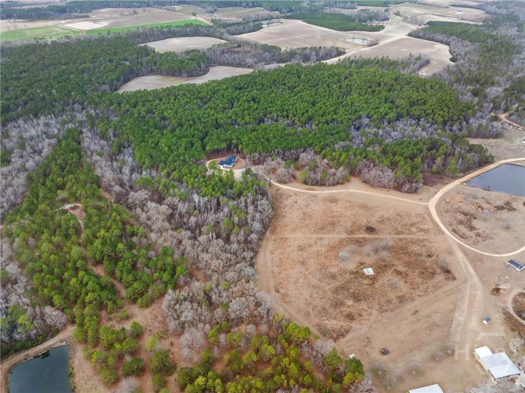 0 Banks Dairy Road - Photo 1
