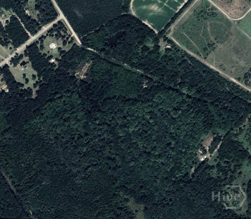 1411 Riggs Mill Lane - Photo 1