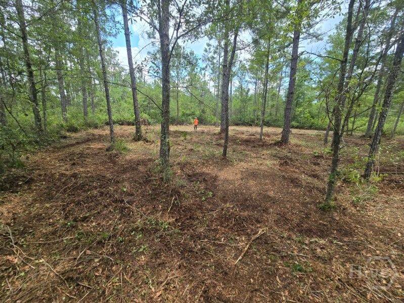 0 Savannah Town Road - Photo 1