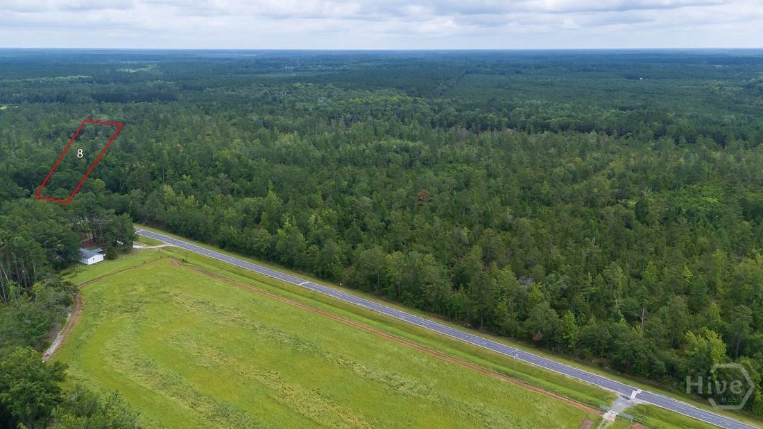 0 Old Louisville Road - Photo 1