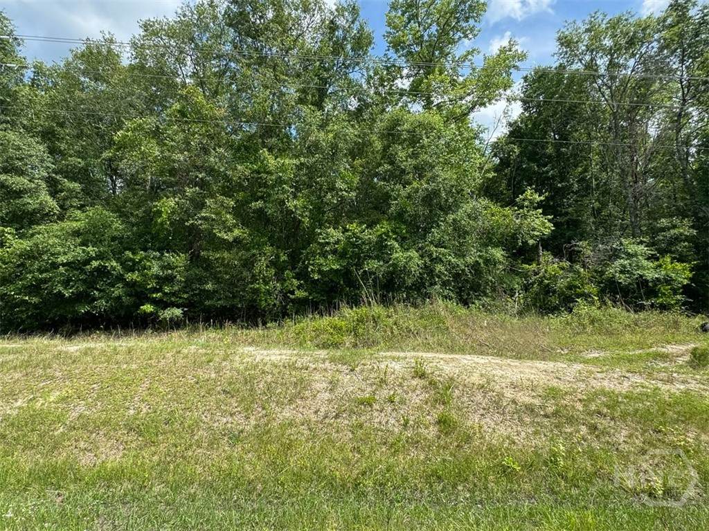 0 Reedsville Road - Photo 1