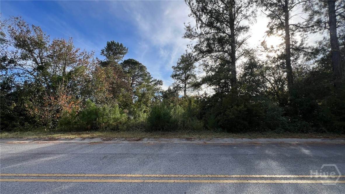 0 River Road - Photo 1