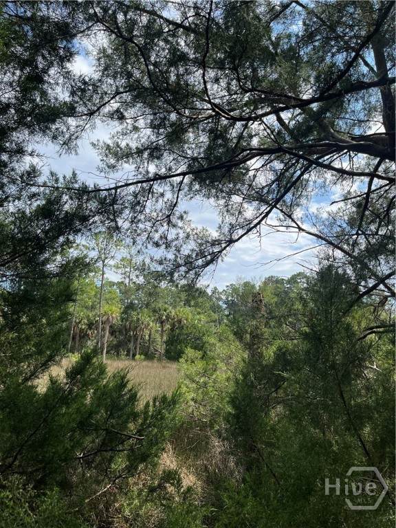 0 Perry Cove - Photo 1