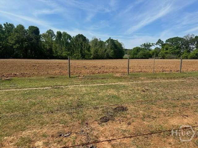 2905 Donald Cobb Road - Photo 1