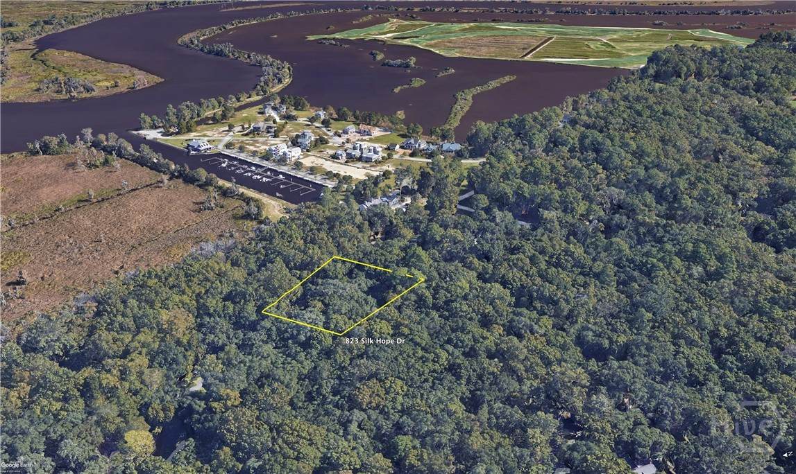 823 Silk Hope Drive - Photo 1