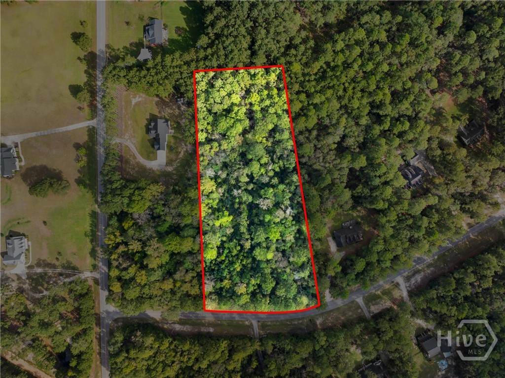 0 Plantation Pointe Drive - Photo 1