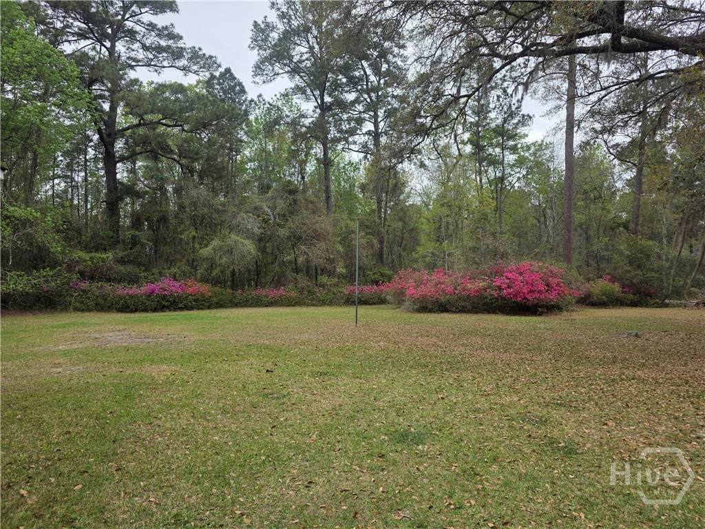 https://bt-photos.global.ssl.fastly.net/savannah/orig_boomver_1_ec8d0bf55be9b3fc82dd1d82d29cf57f-2.jpg