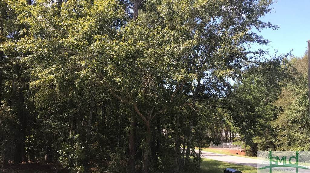 0 Commerce Loop Road - Photo 1