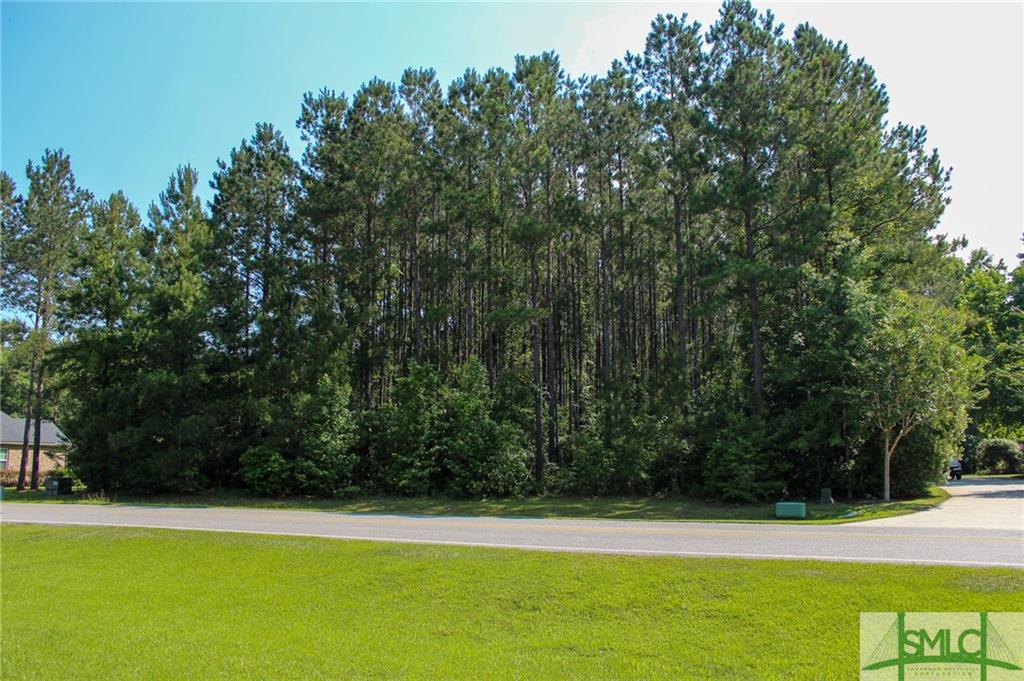 lot 7 Saint Catherine Circle - Photo 1
