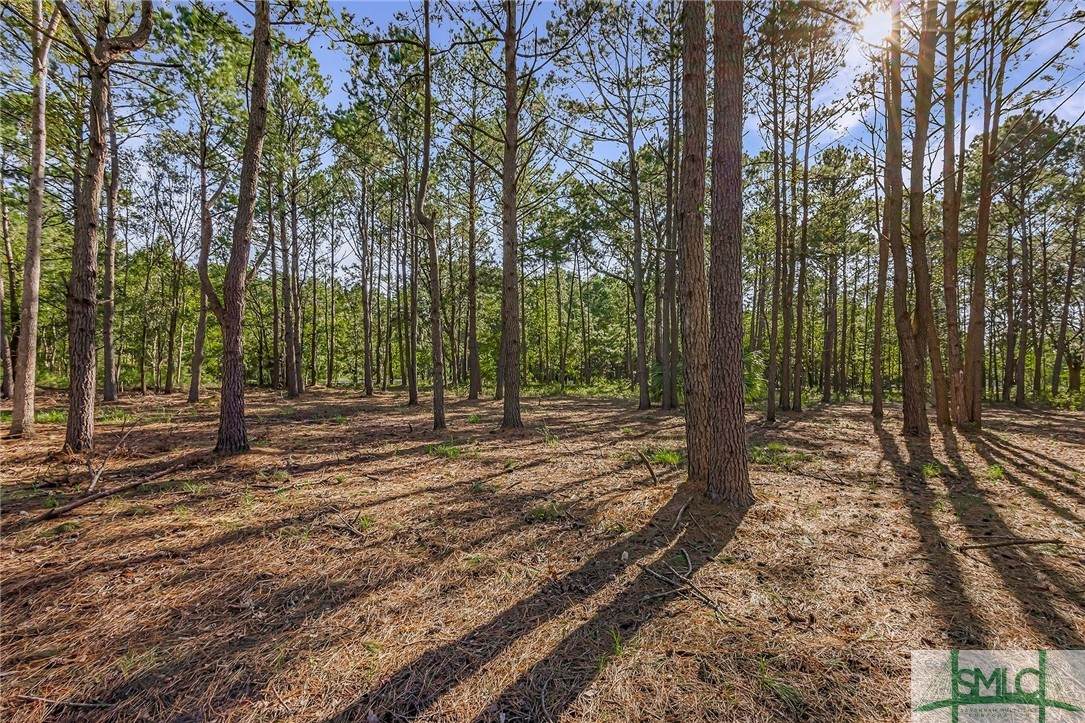 2184 Hunter's Loop - Photo 1
