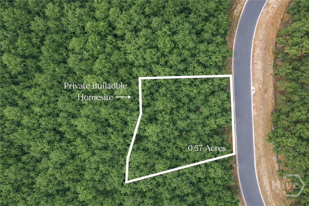 151 Wood Haven Lane - Photo 1