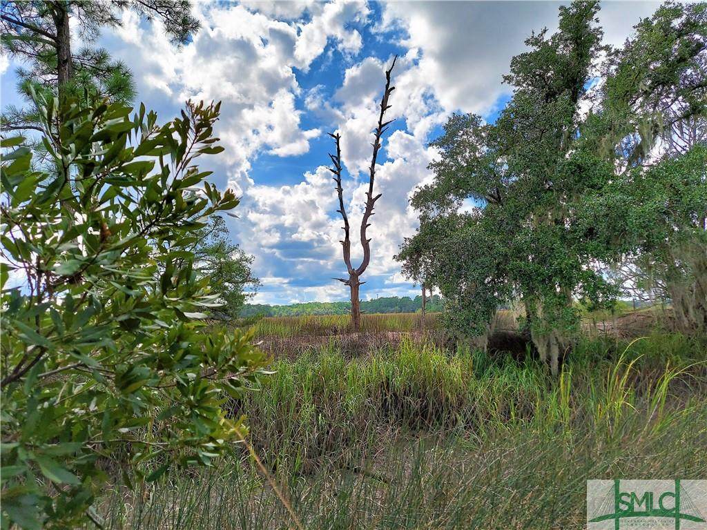 187 Burton Road - Photo 1