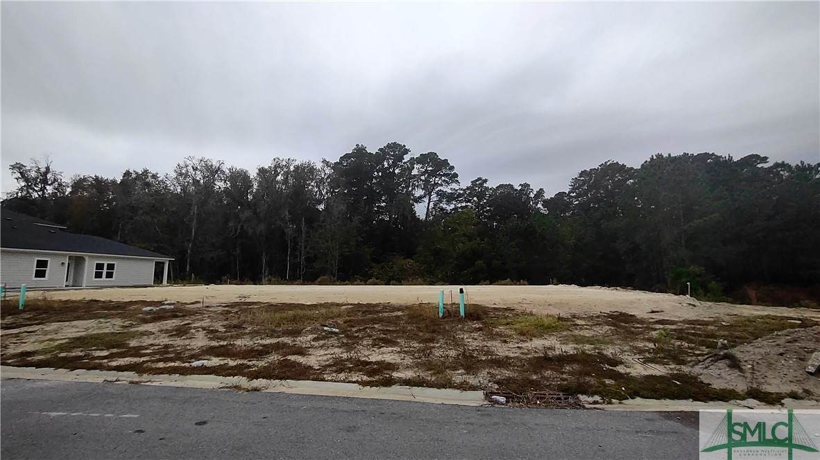 153 Lower Creek Drive - Photo 1