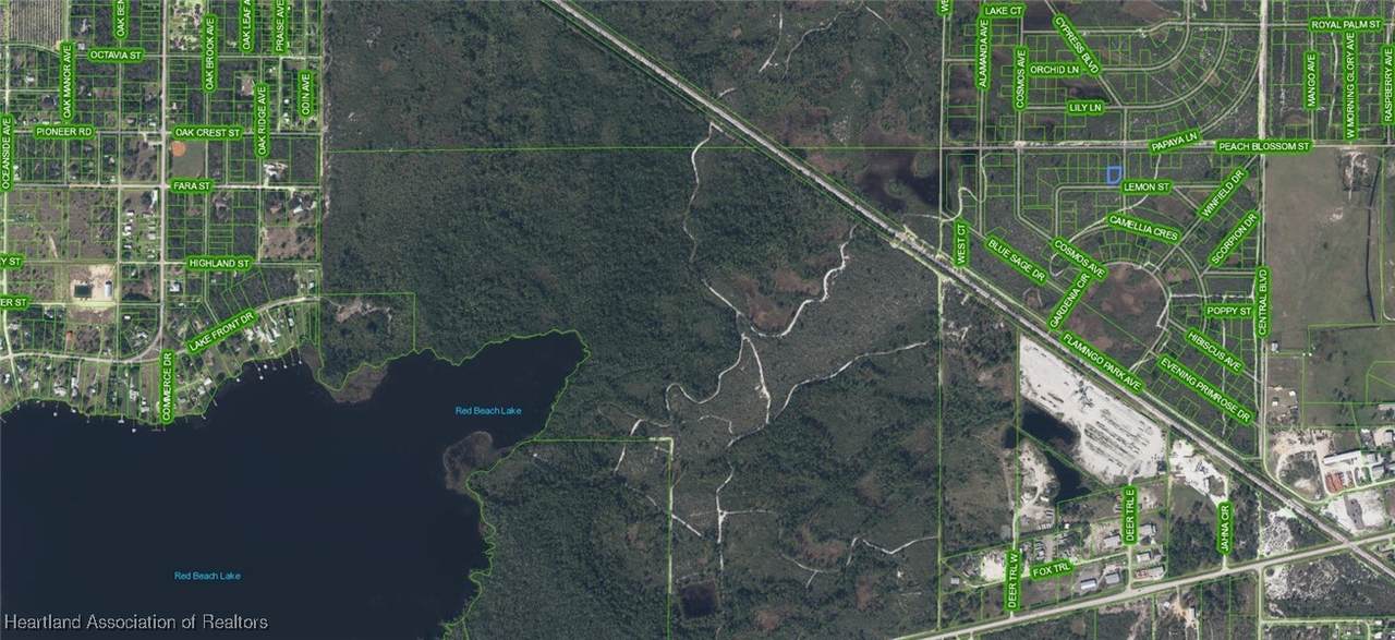 6033 Royal Palm Street - Photo 1