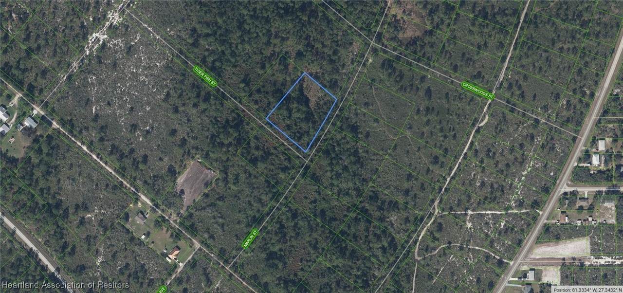 724 Tiger Fish Street - Photo 1