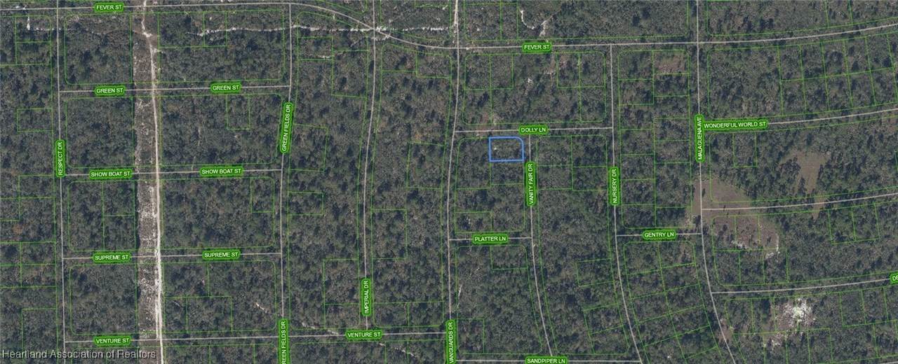 305 Dolly Lane - Photo 1