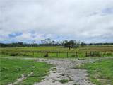 1013 Cattle Ranch Road - Photo 6