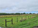 1013 Cattle Ranch Road - Photo 8
