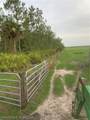 635 County Road 731 - Photo 11