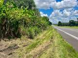  State Road 64 Road - Photo 4