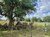  State Road 64 East - Photo 13