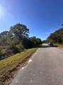1206 Archie Summers Road - Photo 3