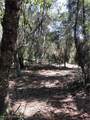  Timberlane Road - Photo 4