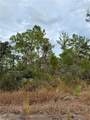 3229 Thistle Drive - Photo 7