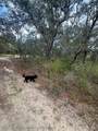 3064 Ryder Road - Photo 4