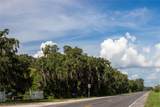 4318 Us 98 Highway - Photo 12