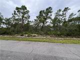 7739 Vittorio Street - Photo 1