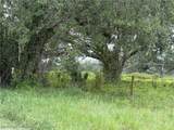 900 County Road 731 - Photo 6