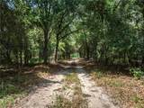 2435 State Road 64 - Photo 3