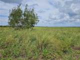 8877 County Road 17 Road - Photo 10