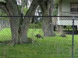 3020 Abell Road - Photo 5