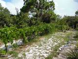 301 Pamela Road - Photo 42