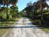 301 Pamela Road - Photo 48