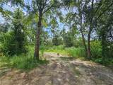 825 Lemans Drive - Photo 5