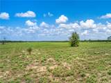 7800 County Road 17 Road - Photo 10