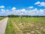 7800 County Road 17 Road - Photo 11