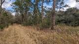 6810 Wisteria Place - Photo 1