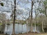 1120 Palmetto Lane - Photo 7