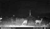  Klein Road - Photo 15